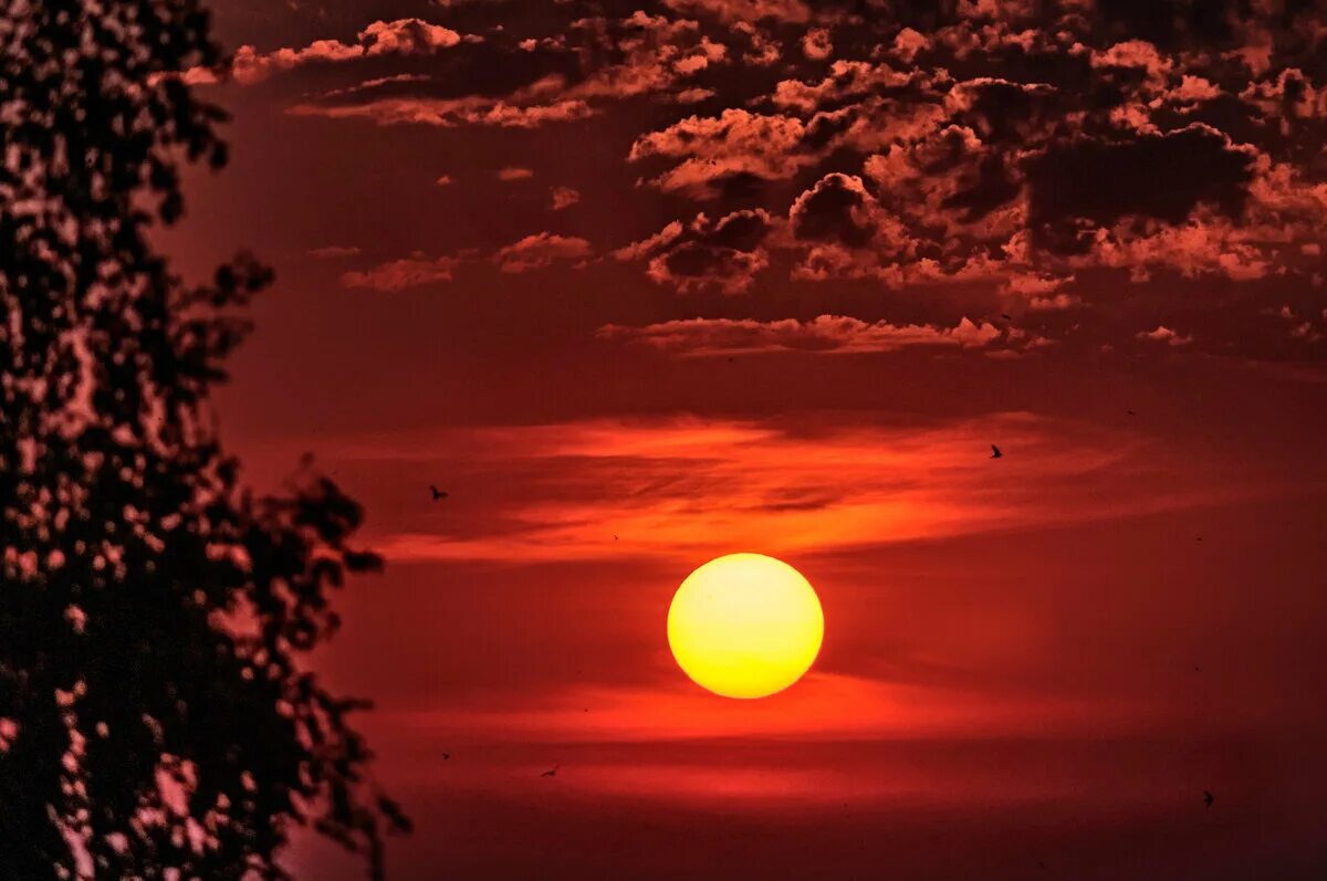красное небо. почему солнце на закате огненно красное. алый закат. багряный диск солнца тонет в огненном закате. солнечное затмение.