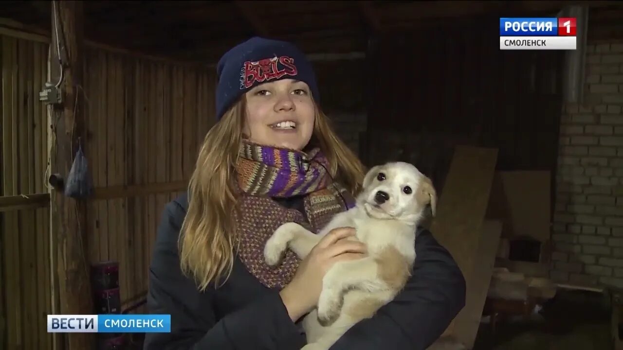 Верность приют для собак Смоленск. Приют верность Смоленск щенки. ВЕРНОСТЬТВ-помощь животным. Приют верность в Смоленске фото собак.