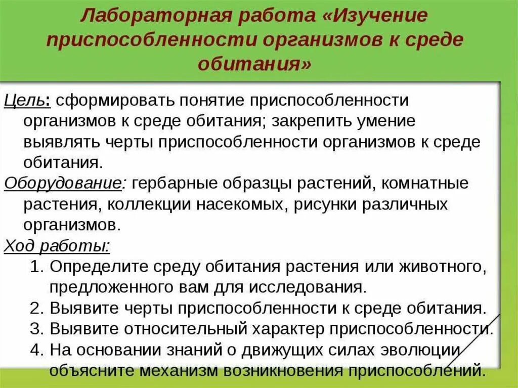 Изучение приспособленности организмов к определенной среде обитания. Лабораторная работа приспособленность организмов к среде обитания. Изучение приспособления организмов к среде обитания. Лабораторная работа изучение приспособленности. Лабораторная работа изучение приспособленности организмов к среде.