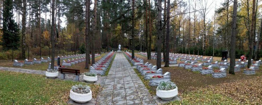 Кладбище марьина роща. Братское захоронение осиновая роща. Кладбище марьина роща. Кладбище тихая роща в г. Кладбище роща.