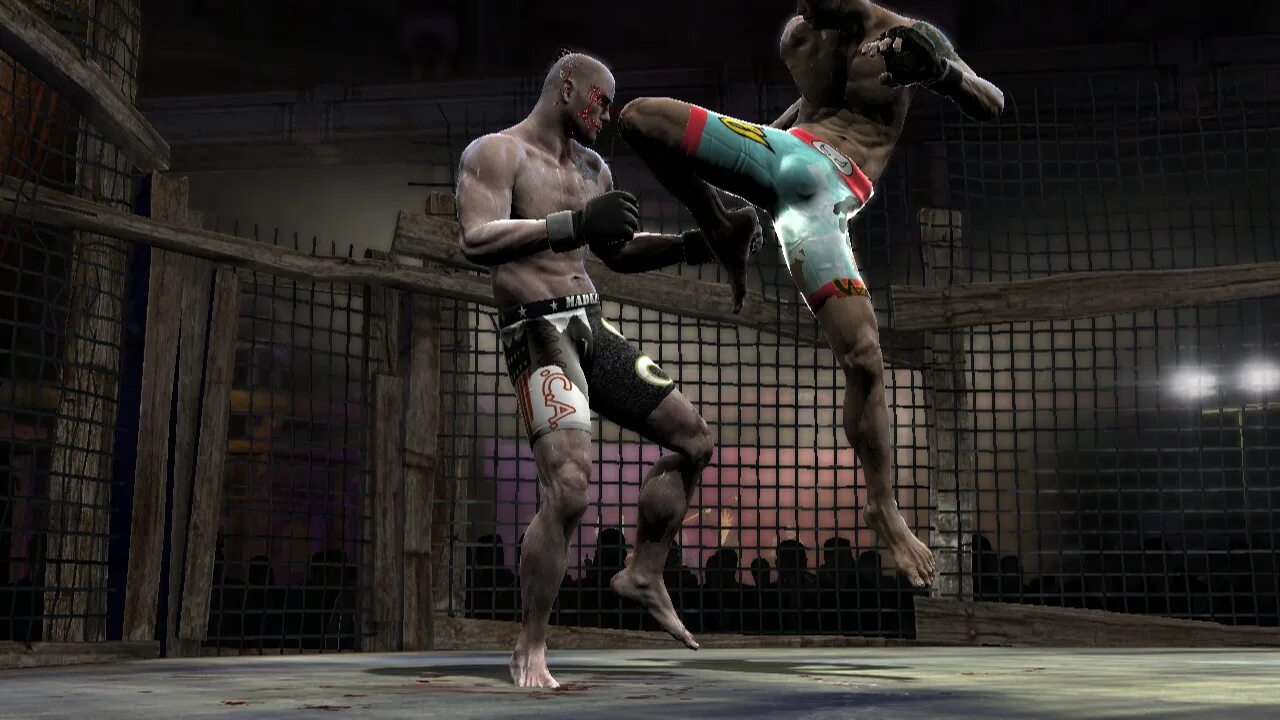 Ps3 boxing. ММА игра. Смешанные боевые искусства.