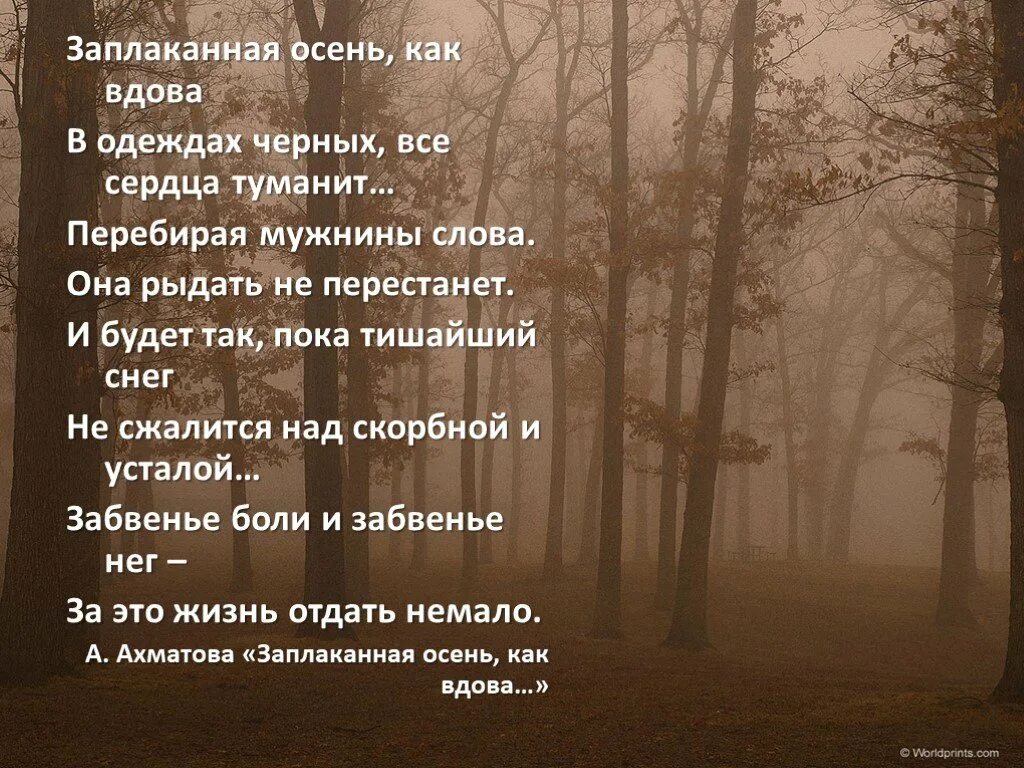 Что значит год вдовы