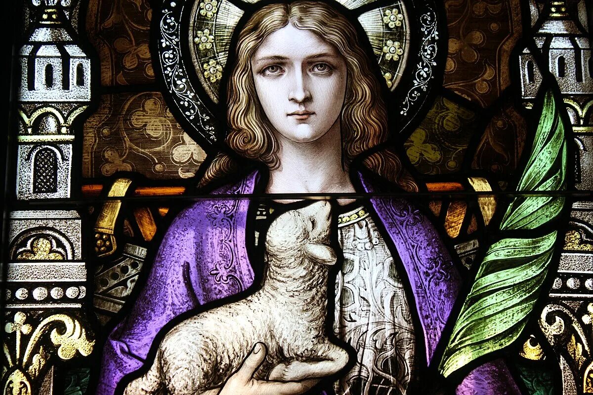 Статуя девы марии в сан кристобале. Saint mary s. Saint mary s. Университет святой марии в канаде. Университеты канады.