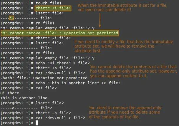 Как изменить файл в линукс. Атрибуты файла linux. базовые атрибуты файлов linux. команда file. атрибуты папки в линуксе.