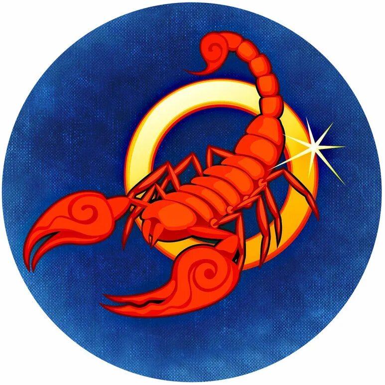 крыса скорпион. год дракона для скорпиона крысы. год дракона для скорпиона крысы. железный скорпион. знак зодиака скорпион.