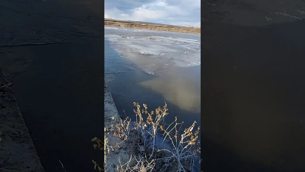 Какая река в орске вышла из берегов. Река выступала из берегов и затопила луга. затопило луг. после разлива реки на лугу.