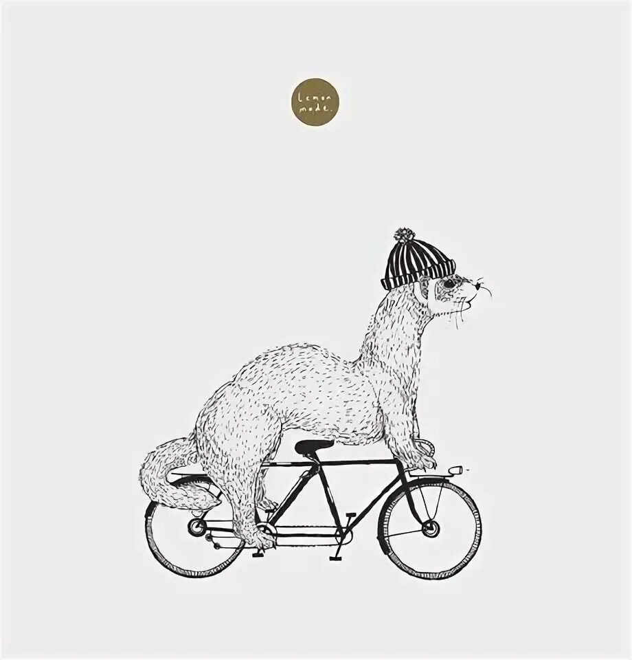 Cycling animals. Животные на велосипеде. Звери на велосипеде. Зверек на велосипеде. Животные на велосипеде рисунки.