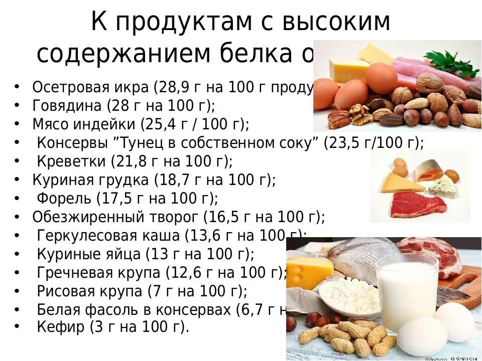 Какие продукты включают белок