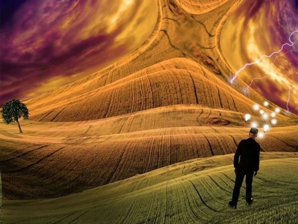 Lucid dreams. Dreaming science. Love turns to pain. Love turns lovely. Dreaming science.