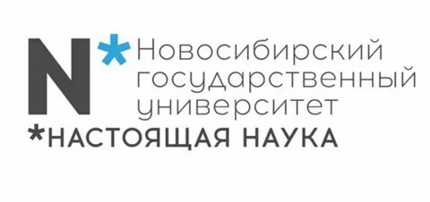 Пиш нгу