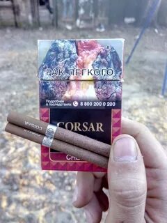 Бристоль сигареты