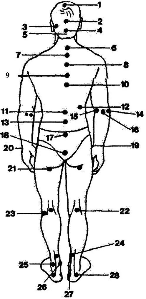 Названия точек человека. Точки человека 5 точка. 5 Точка на теле. Четвёртая точка на теле человека. Болевые точки.