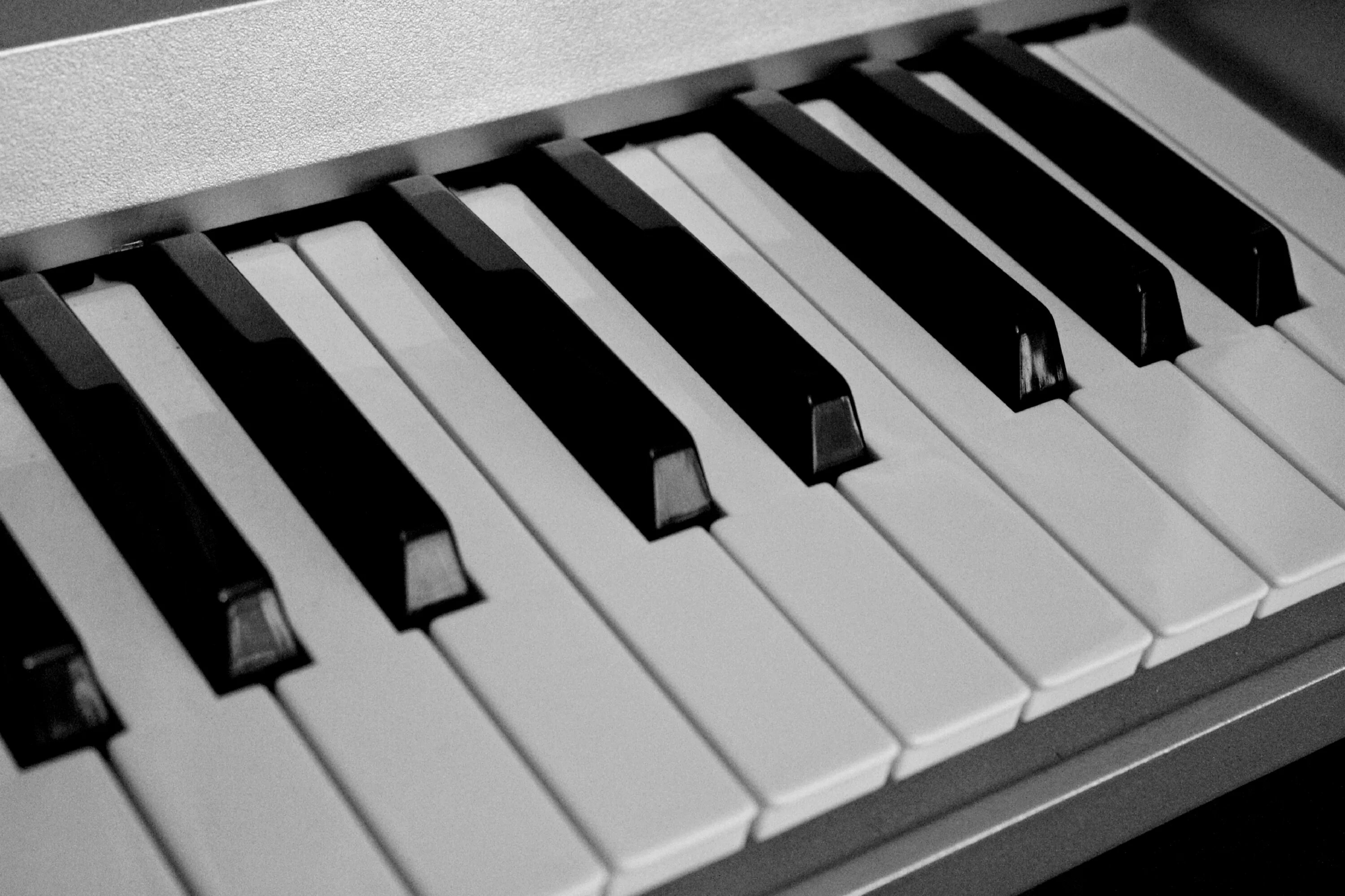 Клавиши пианино. Клавиатура рояля. Клавиатура пианино. Клавиши рояля. Фортепиано черные клавиши