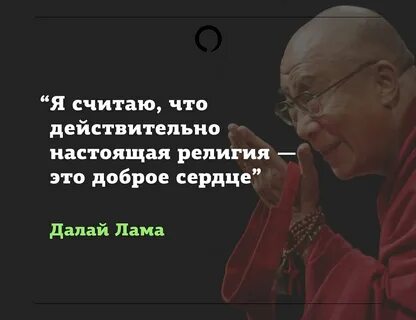 Лама афоризмы