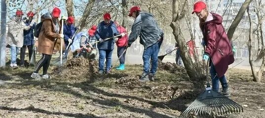 Месячник по уборке и благоустройству территории. Весенняя уборка. Субботник глава. Сажает дерево в грязи. Дрозденко на субботнике.