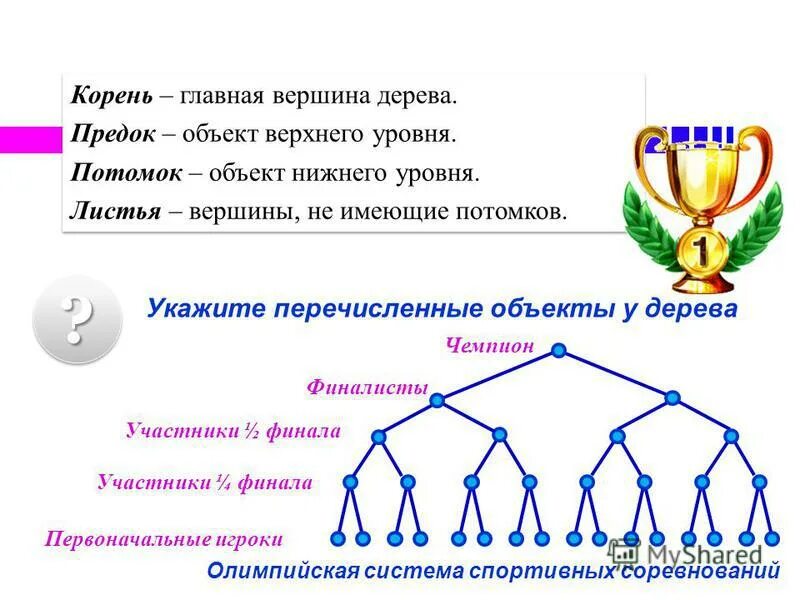 1 3 на верхнем уровне. Предок в дереве графы. Потомок графа. Потомки дерева Информатика.