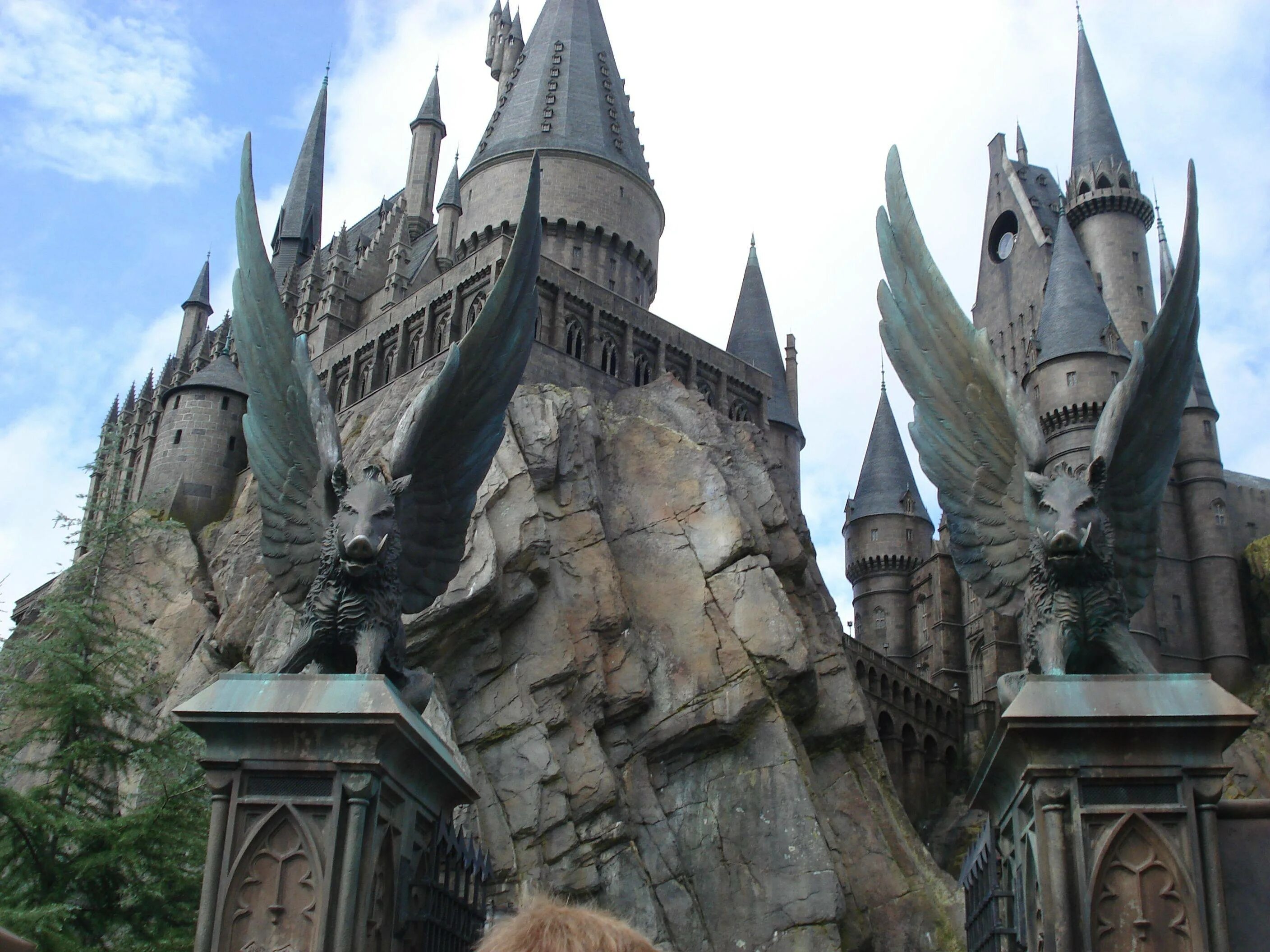 Wizarding world of harry