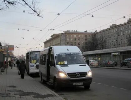 240 автобус спб