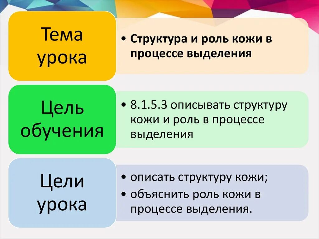 Тест кожа выделение 8