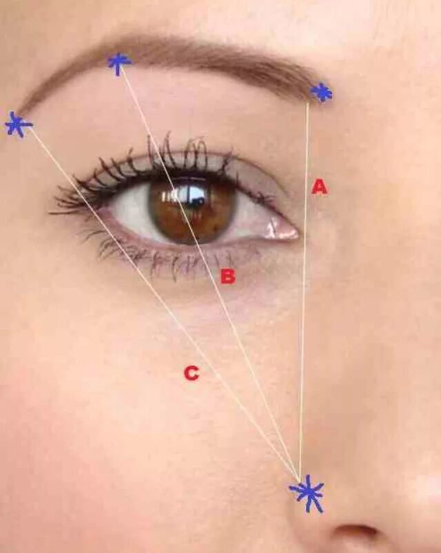 Щипет или щиплет как правильно. Правильное выщипывание бровей. Пошаговое выщипывание бровей. Форма бровей для выщипывания. Выщипанные брови.
