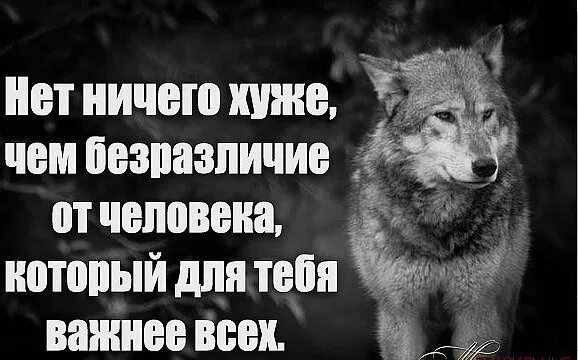 Равнодушие хуже. Устал от безразличия. Если я вам безразлична. Мне безразлично цитаты. Равнодушие картинки.