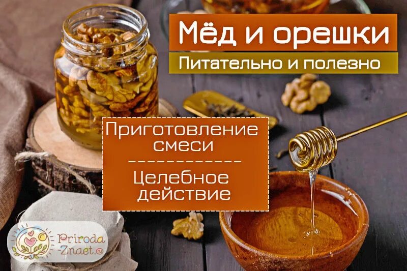 Смесь медовая для иммунитета. Мёд с орехами для мужчин. Смесь из грецких орехов и меда. Смесь для иммунитета из орехов и меда.