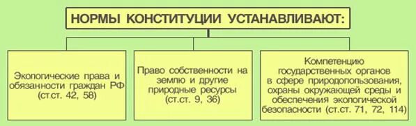 Экологические нормы в Конституции РФ. Общие нормы конституции рф