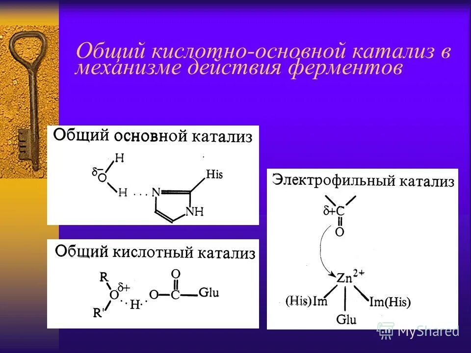 Катализ ферментов. Кислотно-основной катализ ферментов. Кислотный катализ енолизации. Механизм реакции кислотный катализ. Кислотно-основной ферментативный катализ.