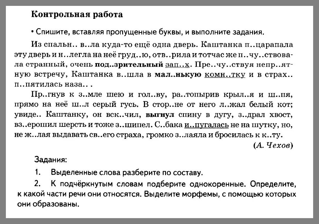 Контрольная работа по русскому языку 5 класс. Проверочная работа по русскому языку 5 класс. Контрольная работа 5 русский язык 5 класс. Контрольные задания по русскому языку 5 класс.