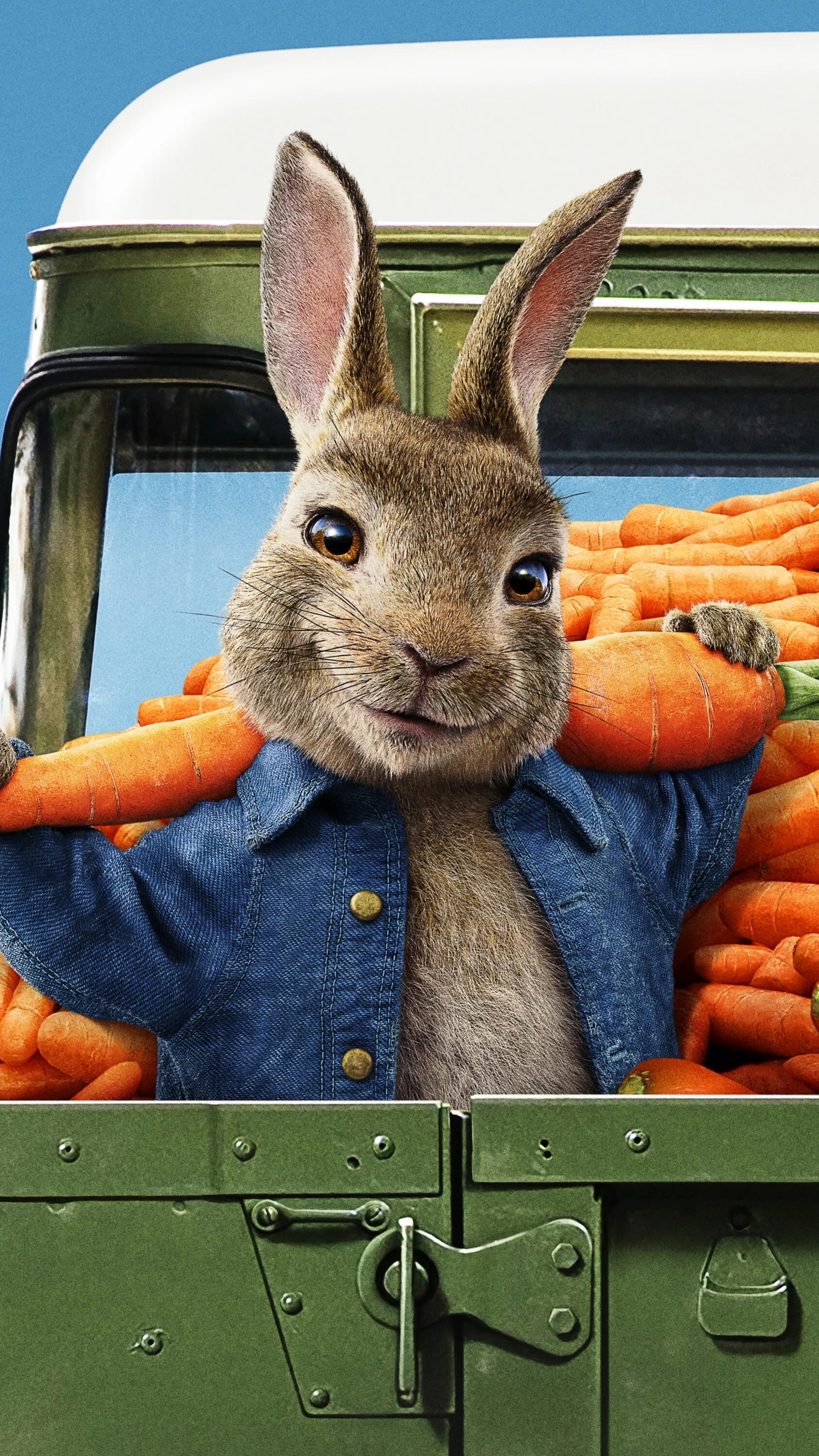 Включи про кролика. Кролик Питер 2 (2020) Peter Rabbit 2: the Runaway. Кролик Питер 1.