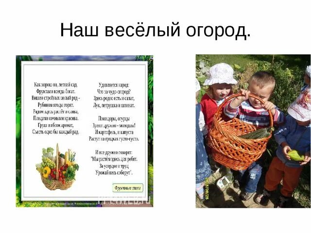 Песни веселый огород