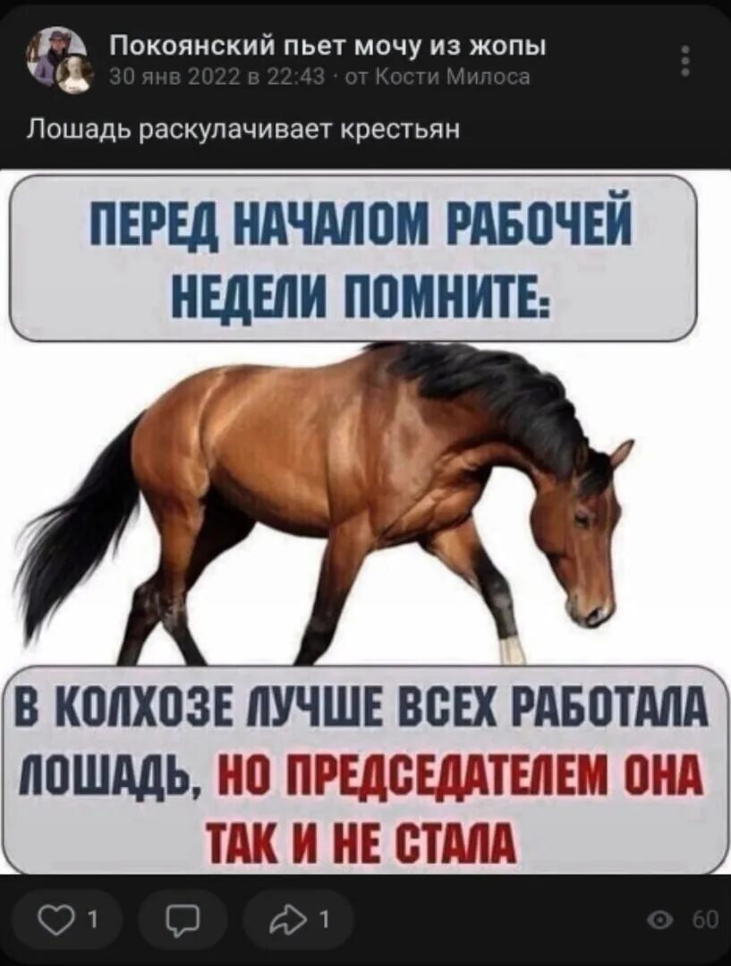 Лошадь работала но председателем. Лошадь председателем не стала. лошадь не стала председателем колхоза. перед началом рабочей недели.