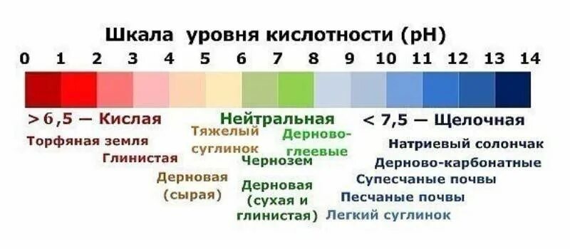 РН 7.5 почвы кислотность. Реакция PH почвы. Кислотность в почве PH 5.5. Кислотность почвы 5,5-7. Кислотность дома