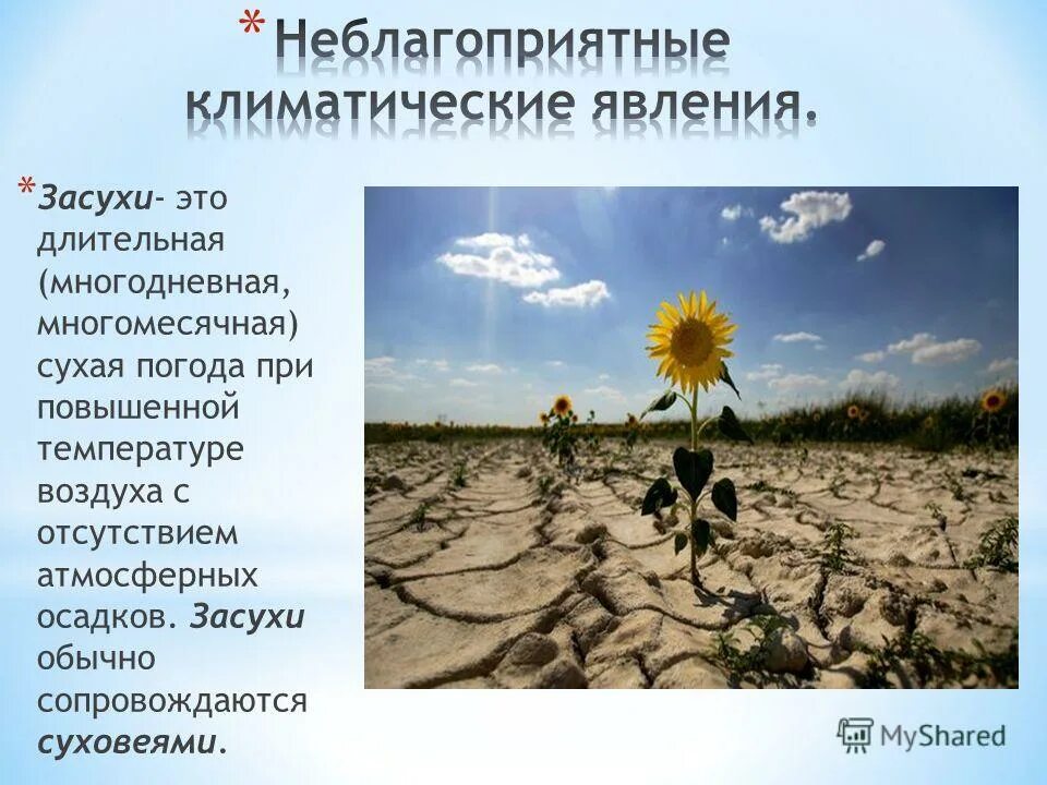 Опустынивание презентация. Засухи суховеи и пыльные бури в россии. День борьбы с опустыниванием. Способствует образованию жаркой сухой погоды засух. Засуха это 6 класс география.