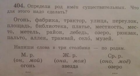 Пальто определяем род
