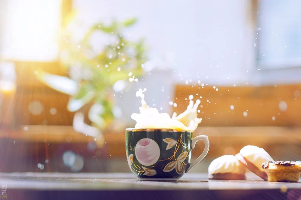 музыкальные картинки. чашка утреннего кофе. девушки летом. утреннее настроение музыка слушать. девушка просыпается утром.