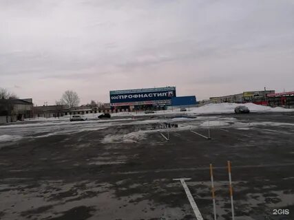 Автошколы кургана отзывы