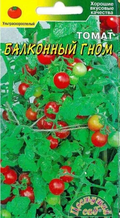 Семена томатов для балкона. Томат балконный Гном. Томат балконный Гном ЦС. Томат Гном семена.