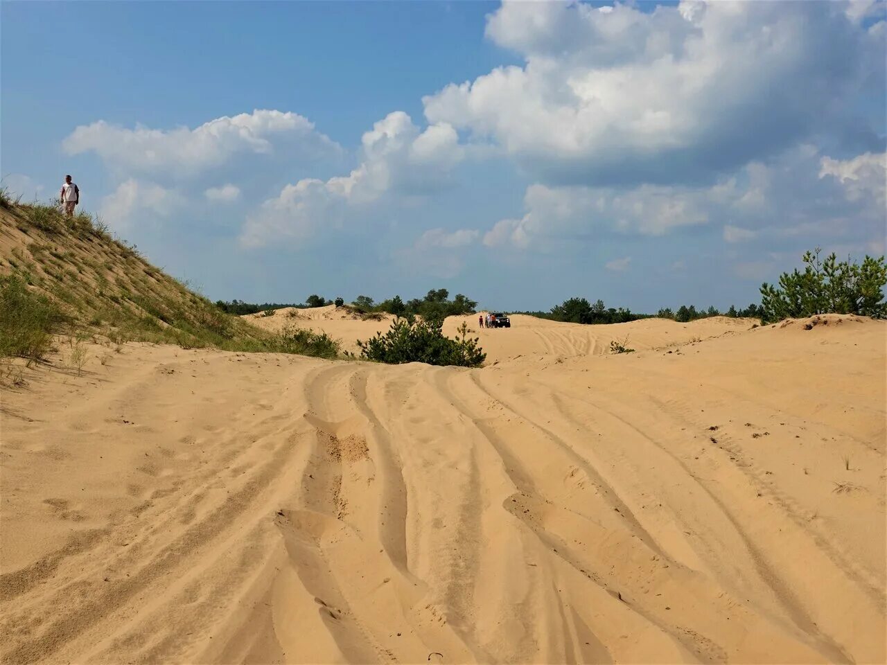 пустыня арчединско-донские пески. воронеж сахара. воронеж сахара. донская пустыня воронежская область. донская сахара воронежская область дюны.