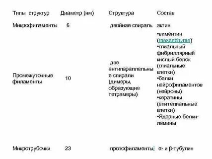 Сравнительная характеристика половых клеток таблица