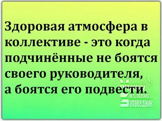 Директор сказал работать. Цитаты про начал ников. Смешные высказывания про начальника. Прикольные фразы про начальника. Смешные фразы про начальника.