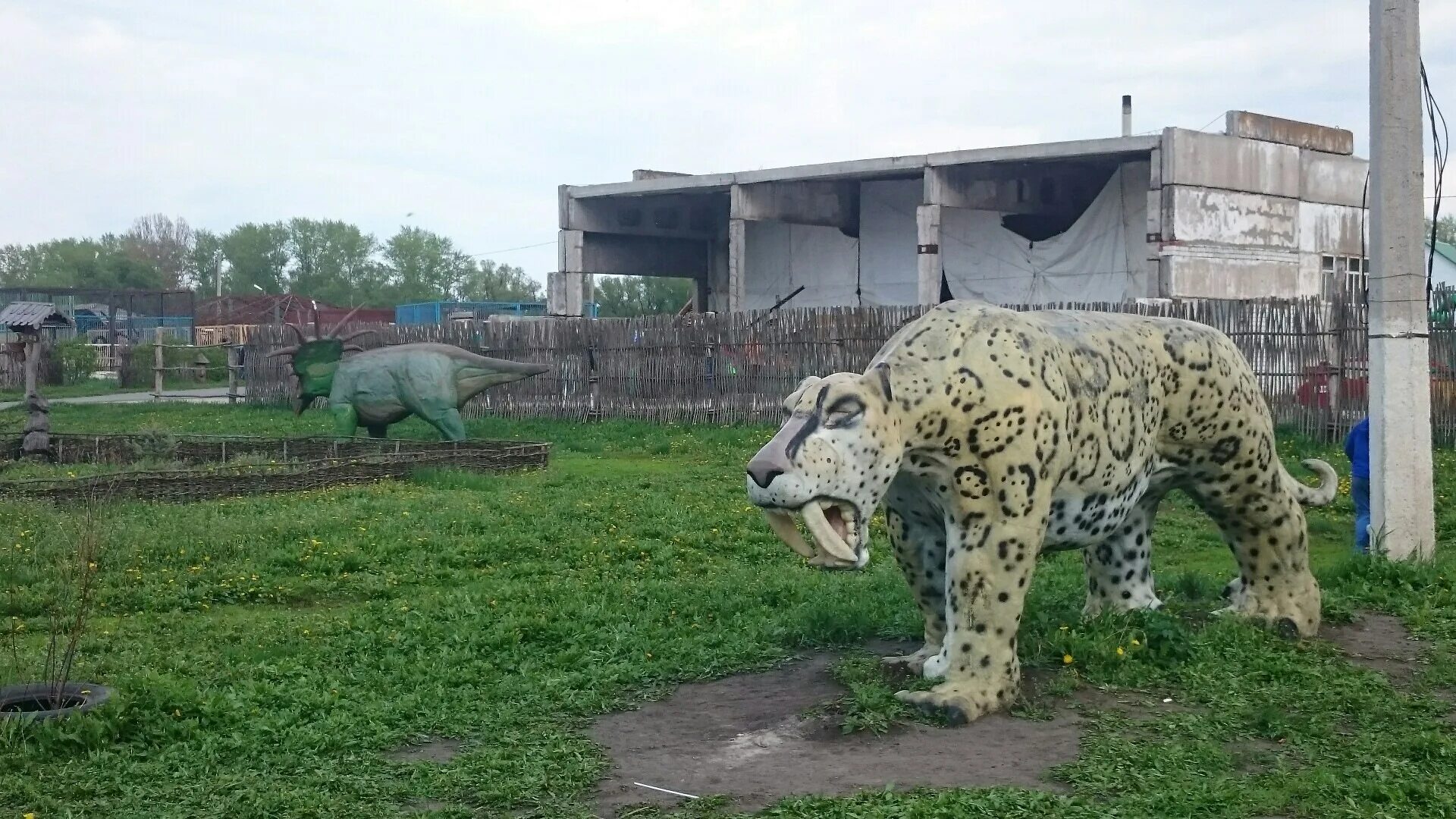 Работа старый оскол зоопарк. Зоопарк старый Оскол. Старооскольский зоопарк, Хутор Чумаки. Зоопарк, Хутор Чумаки, переулок золотой фазан, 2а. Старооскольский зоопарк аттракционы.