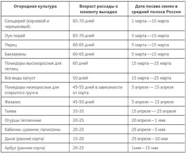 Глубина посадки помидоров на рассаду. Сроки высадки рассады овощей в открытый грунт. Сроки посева семян овощных культур в открытый грунт. Сроки посадки семян на рассаду в средней полосе России. Таблица посева семян овощных культур.