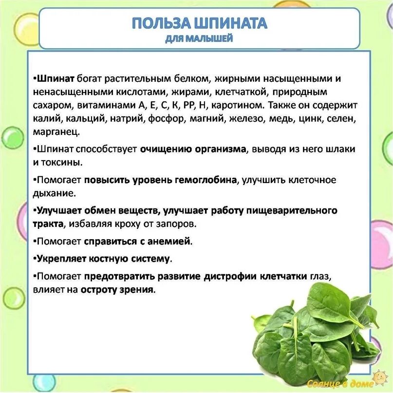 Шпинат огородный польза. Чем полезен шпинат. Чем полезен шпинат для организма. Шпинат польза. Польза овощей.