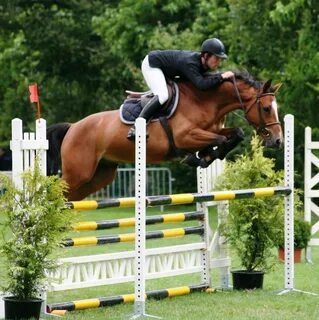 CSO -horse jumping Horse Jumping, Show Jumping, Eventing Cross Country, Nat...