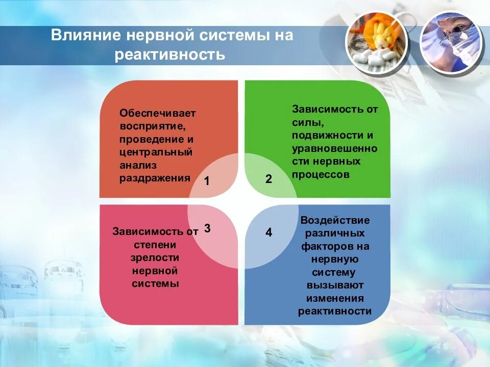 Благотворно влияет на нервную систему. Влияние нервной системы на резистентность и реактивность. . влияние на реактивность состояния нервной систем организма.. влияние на систему. . влияние на реактивность состояния систем организма..