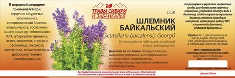 Шлемник байкальский свойства применение