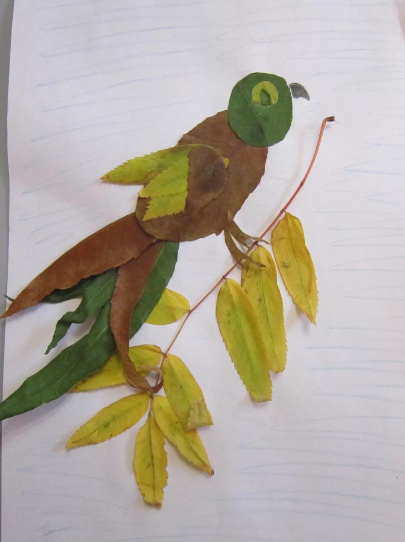 птица из листьев аппликация. аппликация из листьев. аппликация из природного материала. птица из природного материала. аппликация из листьев.