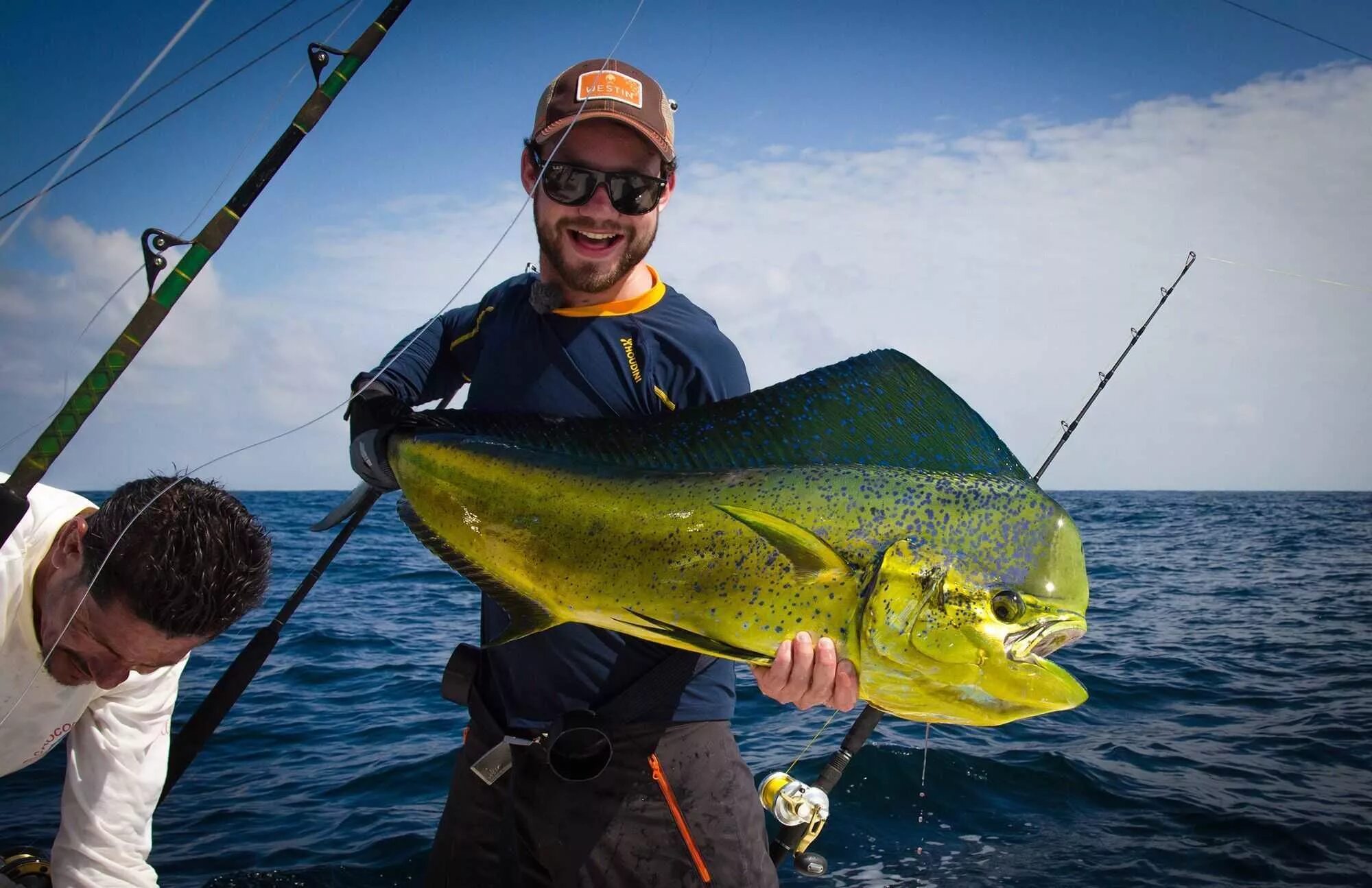 Sea big fish. Морская рыбалка сиде. Biggest fish. Атлантический гигантский групер. Атлантический каранкс.