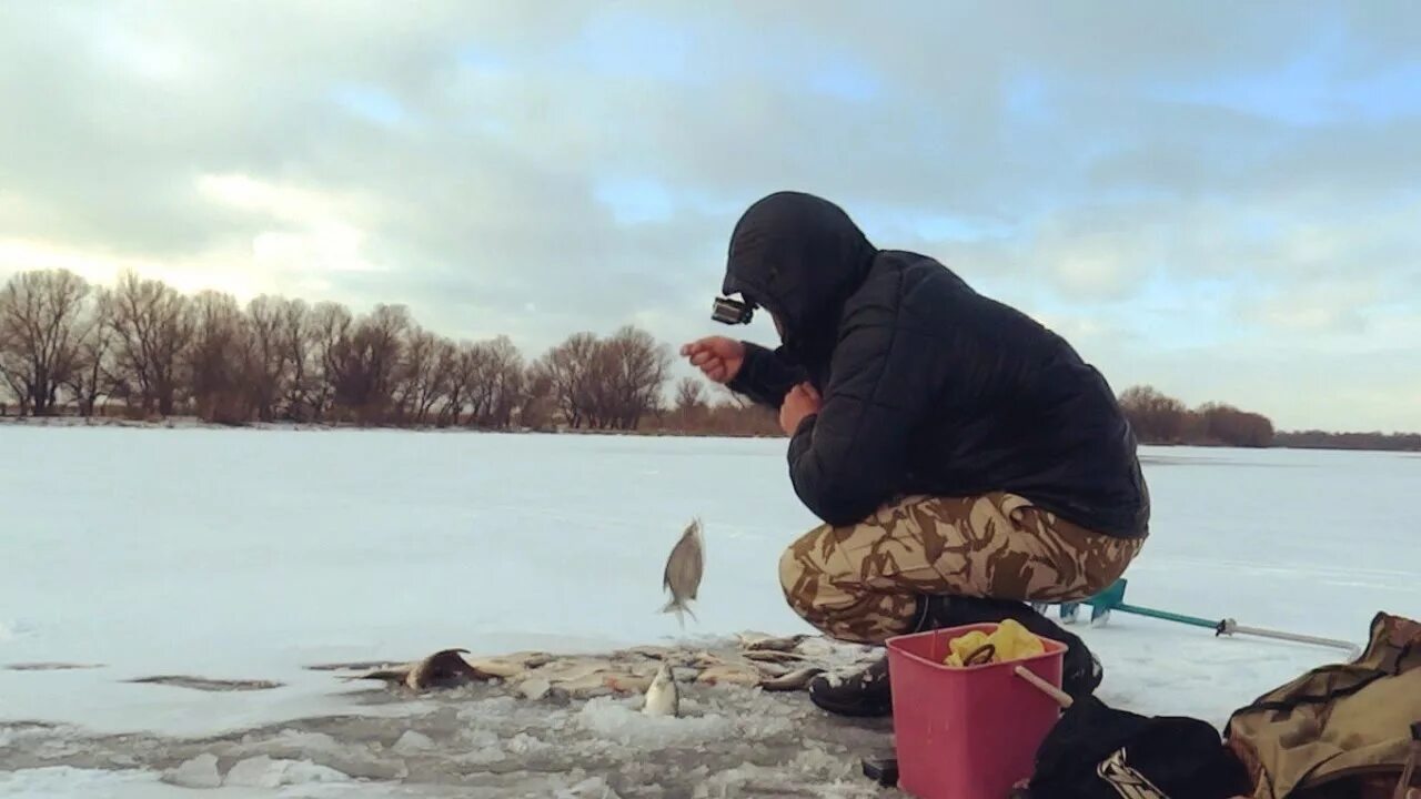 Ловля со льда видео. Рыбалка ранней весной. Зимняя рыбалка крупной густеры на Волге. Олвейс Элон рыбалка. Олвейс Алон рыбалка.